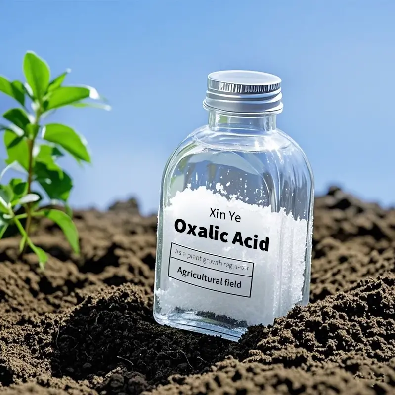 AAAA - 副本 - 副本 - 副本 (3)